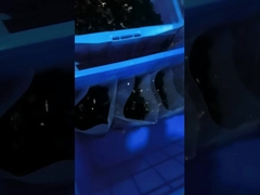 1000Pcs PE de Toebehoren van de Kabelband 1/2 Duim Plastic R Type Klemklem